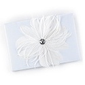 Feathered Fantasy Guest Book