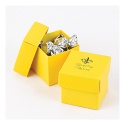 Yellow Two-Piece Favor Boxes