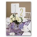 Chrome Table Number Stand