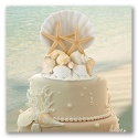 Seashell Cake Top