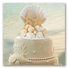 Seashell Cake Top
