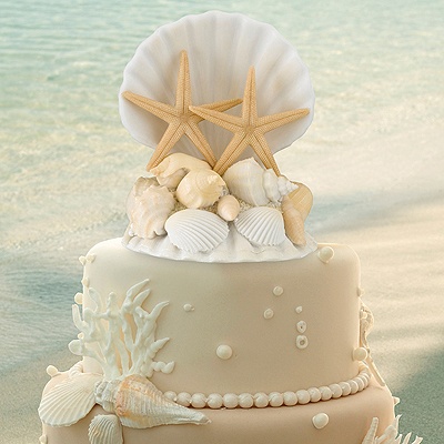 Seashell Cake Top
