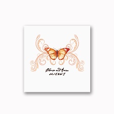Delicate Butterfly - Orange - White Cocktail Napkin