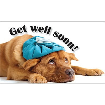Sick as a Dog Get Well Card
