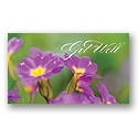 Pretty Petals Card