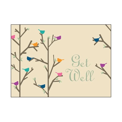 Recycled Get Well Birds Card