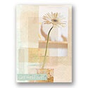 Wellness Daisy Card