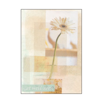 Wellness Daisy Card