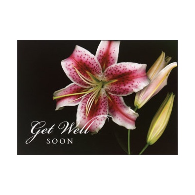 Lily Greetings Card - Verse Only