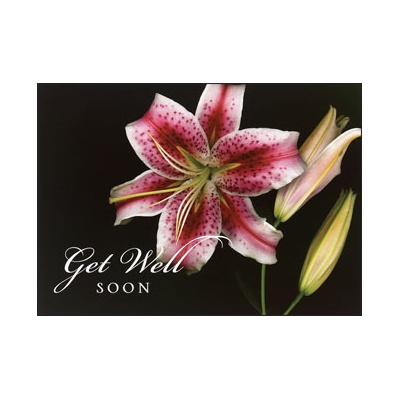 Lily Greetings Card