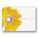 Daisy Delight Card