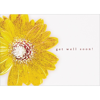 Daisy Delight Card