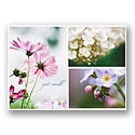 Flowers and Wishes Get Well Card