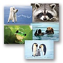 Cute Critters Birthday Assortment Pack