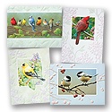 Winged Beauties Mini Card Assortment Pack