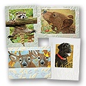 Close to Nature Mini Card Assortment Pack
