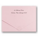 Pink Mini Save the Date Seal-n-Send
