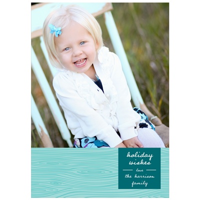 Rustic Panel in Aqua -- Photo Christmas Cards