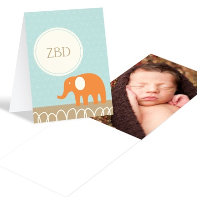 THE GOLDEN TICKET -- BOY PHOTO BIRTH ANNOUNCEMENT, 2in. x 4in. Folded Holiday Card
