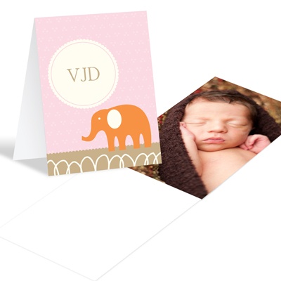 THE GOLDEN TICKET -- BOY PHOTO BIRTH ANNOUNCEMENT, 2in. x 4in. Folded Holiday Card