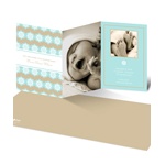 Snowflake Kaleidoscope -- Winter Birth Announcement