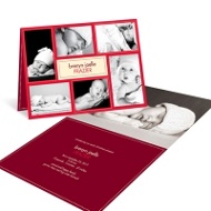 Christmas Newborn Collage 