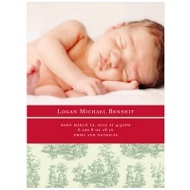 Newborn Toile Memories 