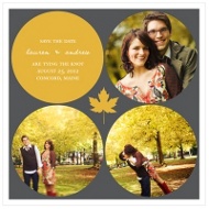 Circles and Leaf 