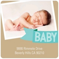 Aqua Baby Banner 