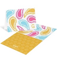 Playful Paisley in Pink 