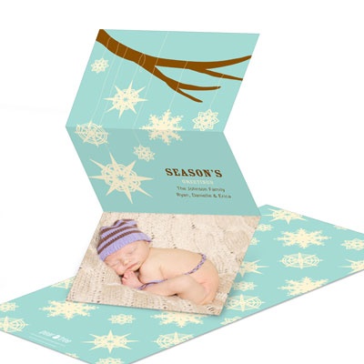 THE GOLDEN TICKET -- BOY PHOTO BIRTH ANNOUNCEMENT, 2in. x 4in. Folded Holiday Card