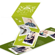 Best Year -- Trifold Christmas Photo Cards