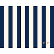 Mesmerizing Stripes 