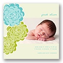 Floral Wonder -- Photo Baby Boy Birth Announcements