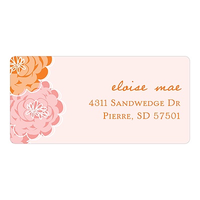 Peek-a-Boo Flowers in Pink -- New Baby Address Labels
