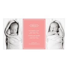 Elegant Greeting -- Twin Pregnancy Announcements