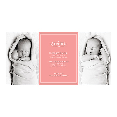 Elegant Greeting -- Twin Pregnancy Announcements