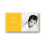 Elegant Greeting for a Girl -- Baby Photo Birth Announcements