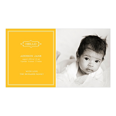 Elegant Greeting for a Girl -- Baby Photo Birth Announcements