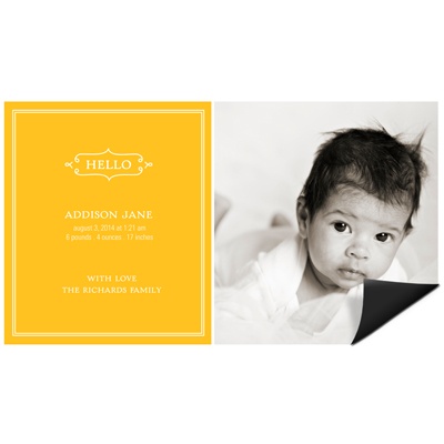 Elegant Intro -- Baby Announcement Magnets