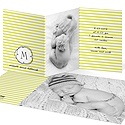 Striped and Swirled Monogram -- Chic Baby Announcements