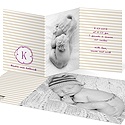 Photo Swirled Monogram -- Chic Baby Announcements