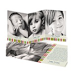 Photo Blocks and Stripes -- Trifold Holiday Cards