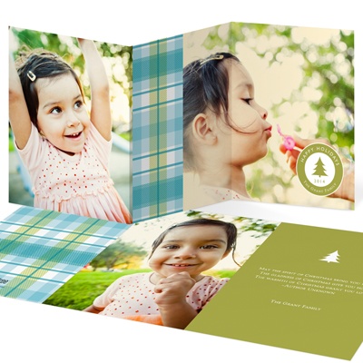 Christmas Tree Emblem -- Plaid Photo Christmas Cards