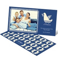 Delightful Doves 