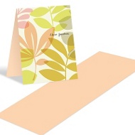 Spring Setting 