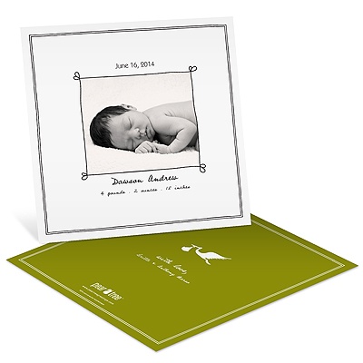 Special Delivery -- Boy Photo Stork Birth Announcements