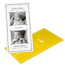 Special Delivery -- Twins Stork Baby Announcements