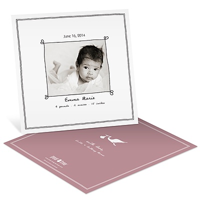 Special Delivery -- Girl Photo Stork Baby Announcements