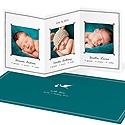 Special Delivery -- Triplet Photo Birth Announcements